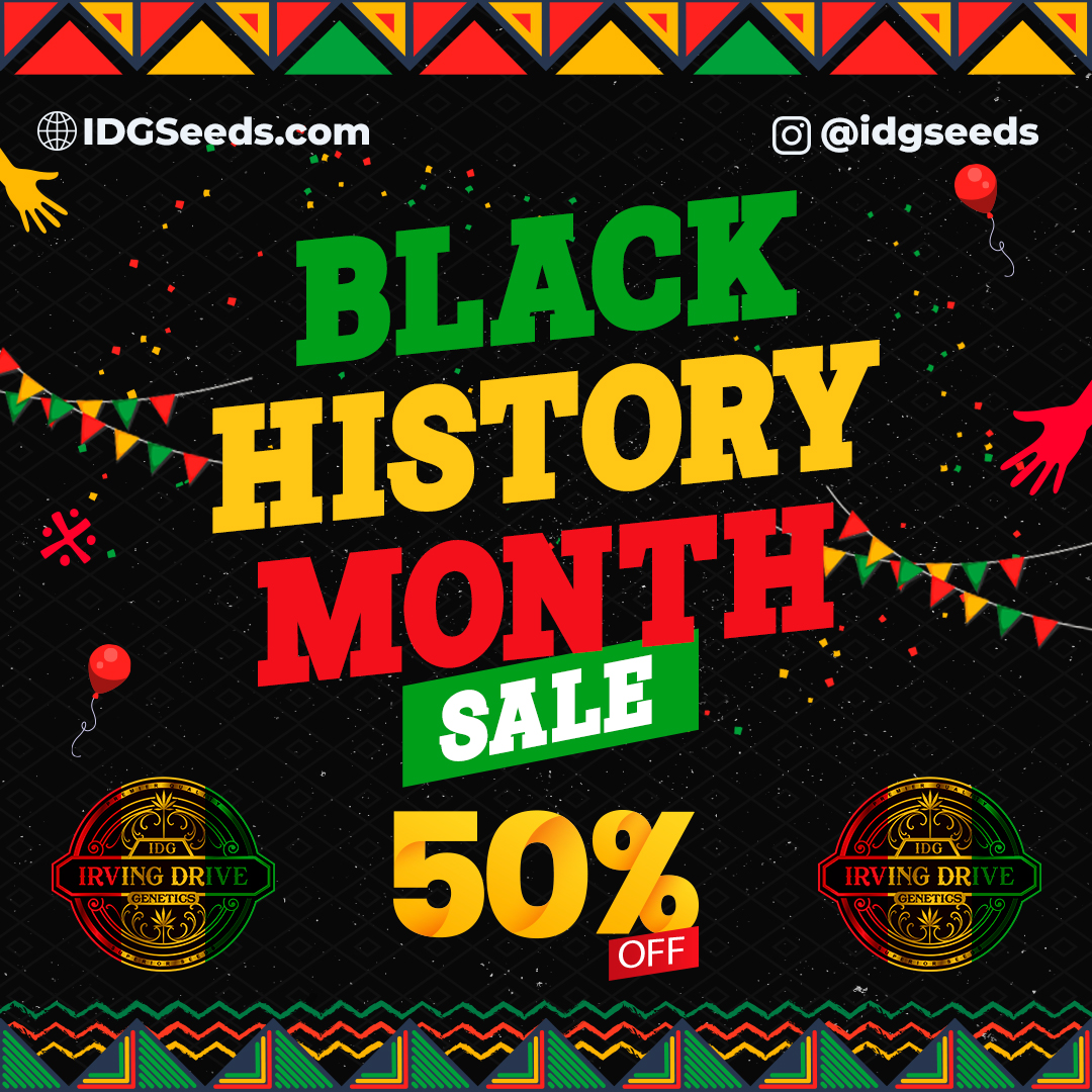 Read more about the article 50% OFF FOR BLACK HISTORY MONTH. IDGSEEDS.COM